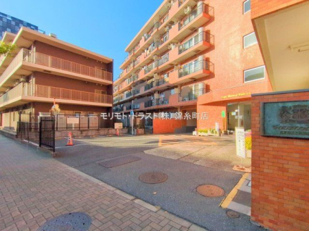 ���n�O�ώʐ^ �B�e��(2025-11-14 00:00:00)