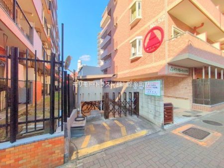 ���n�O�ώʐ^ �B�e��(2025-11-14 00:00:00)