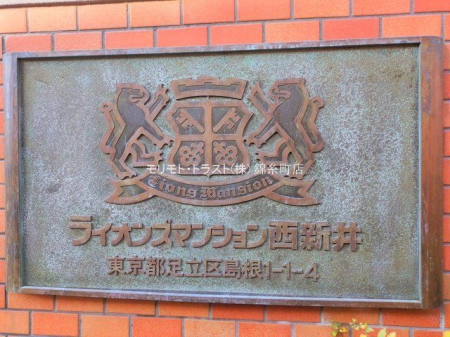 �G���g�����X �B�e��(2025-11-14 00:00:00)