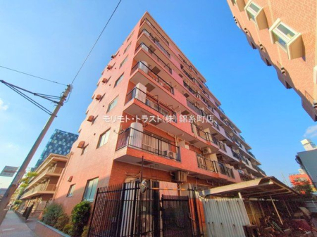 ���n�O�ώʐ^ �B�e��(2025-11-14)