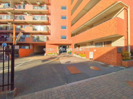 �G���g�����X �B�e��(2025-11-14 00:00:00)