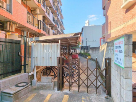 ���n�O�ώʐ^ �B�e��(2025-11-14 00:00:00)