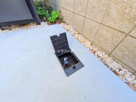 ���n�O�ώʐ^ �B�e��(2025-11-17 00:00:00)