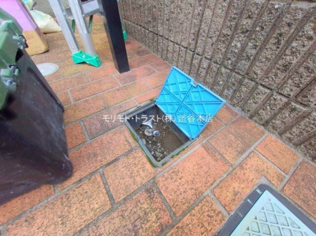 ���n�O�ώʐ^ �B�e��(2025-11-11 00:00:00)