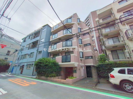 ���n�O�ώʐ^ �B�e��(2025-11-05)