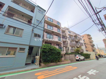 ���n�O�ώʐ^ �B�e��(2025-11-05)