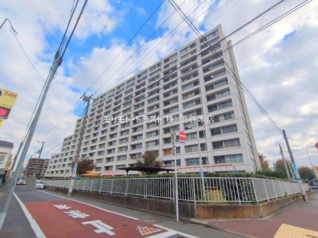 ���n�O�ώʐ^ �B�e��(2025-11-20)