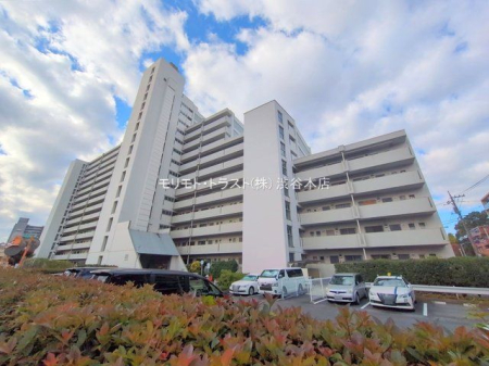 ���n�O�ώʐ^ �B�e��(2025-11-20 00:00:00)