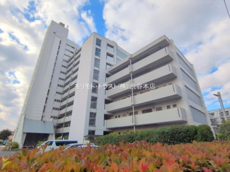 ���n�O�ώʐ^ �B�e��(2025-11-20 00:00:00)