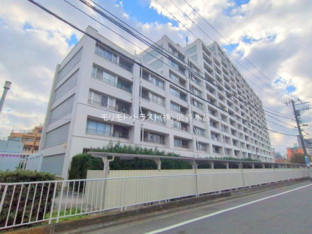 ���n�O�ώʐ^ �B�e��(2025-11-20 00:00:00)