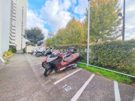 ���n�O�ώʐ^ �B�e��(2025-11-20 00:00:00)