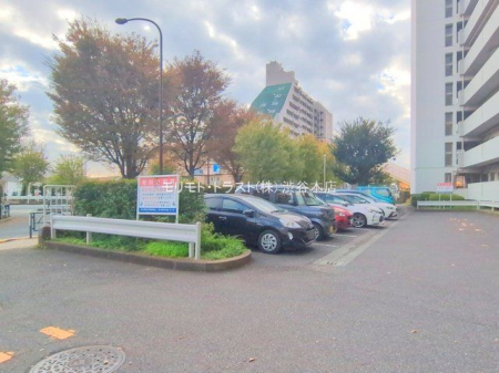 ���n�O�ώʐ^ �B�e��(2025-11-20 00:00:00)