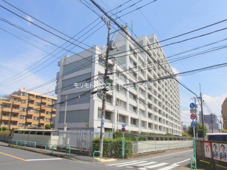 ���n�O�ώʐ^ �B�e��(2024-07-18 00:00:00)