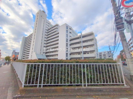 ���n�O�ώʐ^ �B�e��(2025-11-20)