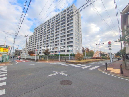 ���n�O�ώʐ^ �B�e��(2025-11-20 00:00:00)