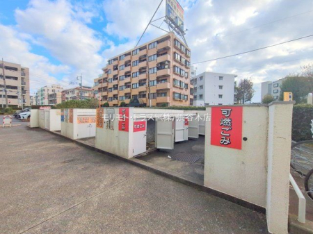 ���n�O�ώʐ^ �B�e��(2025-11-20 00:00:00)