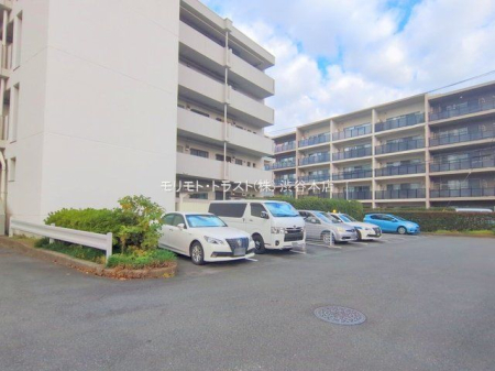 ���n�O�ώʐ^ �B�e��(2025-11-20 00:00:00)