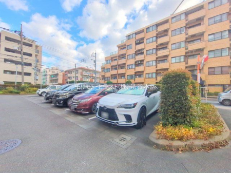 ���n�O�ώʐ^ �B�e��(2025-11-20 00:00:00)