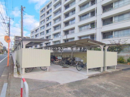 ���n�O�ώʐ^ �B�e��(2025-11-20 00:00:00)