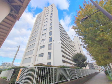 ���n�O�ώʐ^ �B�e��(2025-11-20 00:00:00)