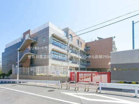 ӊ cJ旧wZ Be(2022-05-03) 250m