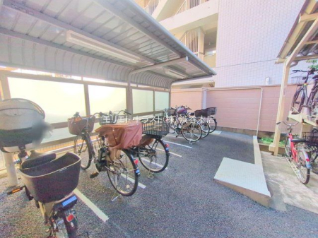 ���n�O�ώʐ^ �B�e��(2025-11-28 00:00:00)