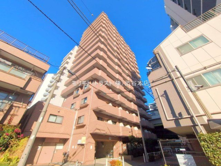 ���n�O�ώʐ^ �B�e��(2025-11-28)