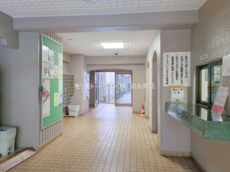 GgX Be(2025-11-27 00:00:00)