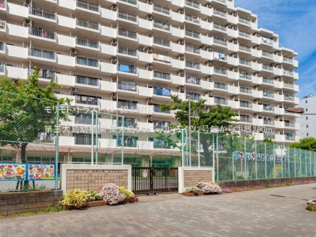 ӊ O哇ct Be(2021-05-03) 290m