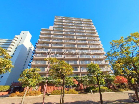 nOώʐ^ Be(2024-12-19)