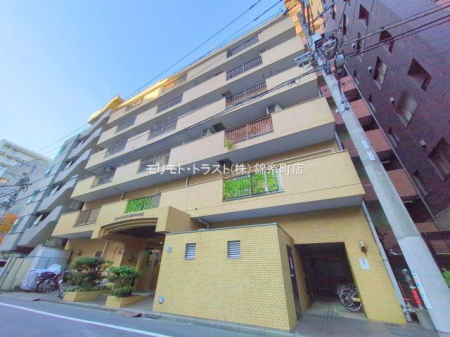 ���n�O�ώʐ^ �B�e��(2025-12-01 00:00:00)