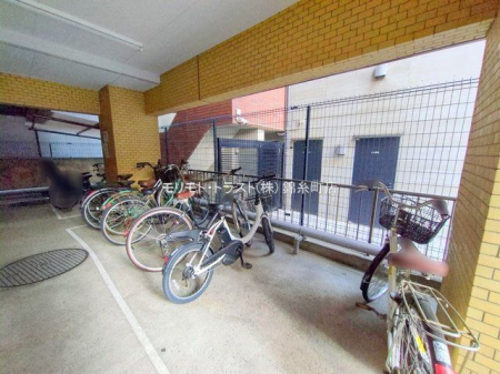 ���n�O�ώʐ^ �B�e��(2025-12-01 00:00:00)