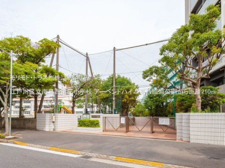 ӊ ]ː旧슋OwZ Be(2021-06-02) 210m