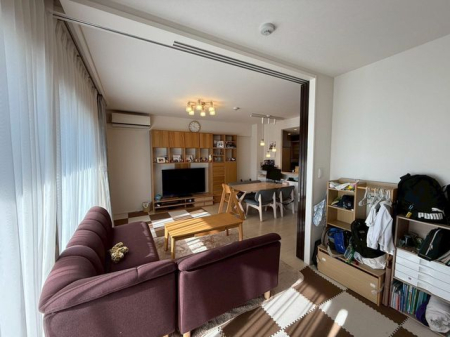 rO yrOzi2025N12jBeFƊĴԍ\BX^CbVȃCeAfA㎿ȃrOłB