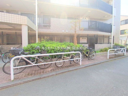 ���n�O�ώʐ^ �B�e��(2025-04-08 00:00:00)