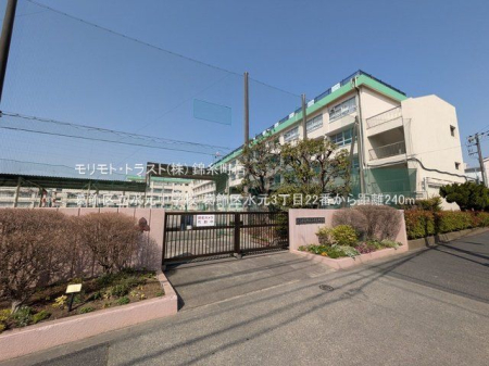 ���ӊ� �����旧�������w�Z �B�e��(2025-03-25) 240m