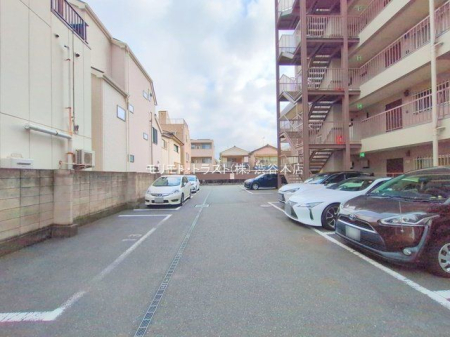 ���n�O�ώʐ^ �B�e��(2025-07-04 00:00:00)