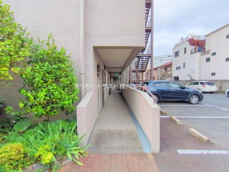 ���n�O�ώʐ^ �B�e��(2025-07-04 00:00:00)