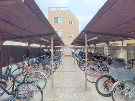 ���n�O�ώʐ^ �B�e��(2025-07-04 00:00:00)