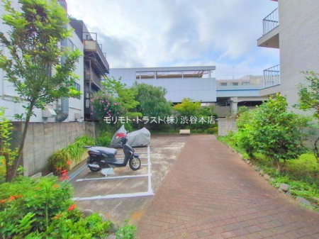 ���n�O�ώʐ^ �B�e��(2025-07-04 00:00:00)