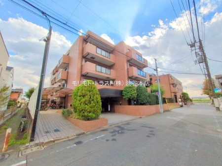 ���n�O�ώʐ^ �B�e��(2025-11-10)