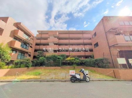 ���n�O�ώʐ^ �B�e��(2025-11-10 00:00:00)