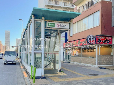 ���ӊ� �s�c�n���S�u���ǂ��v�w �B�e��(2023-11-24) 480m