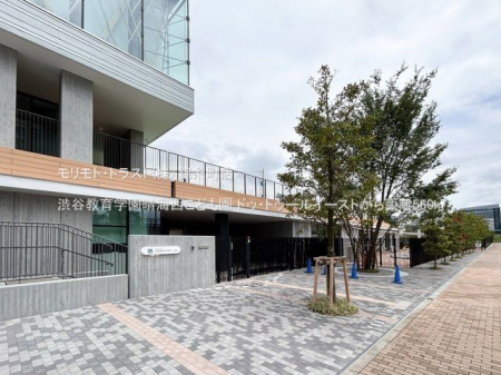 ���ӊ� �a�J����w�����C�����ǂ��� �B�e��(2024-05-09) 550m