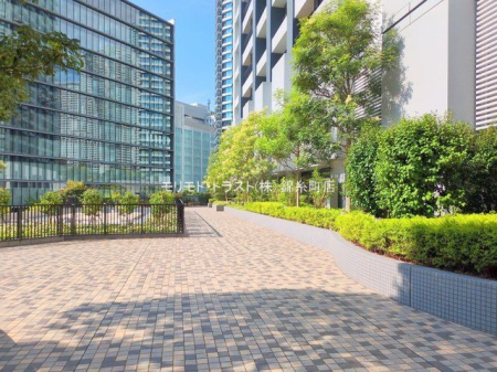 ���n�O�ώʐ^ �B�e��(2025-08-05 00:00:00)