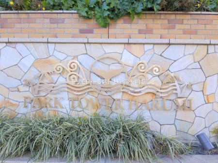 ���n�O�ώʐ^ �B�e��(2025-02-05 00:00:00)