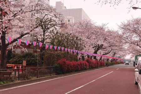 ���ӊ� �d���₳������� �k��13���B 990m