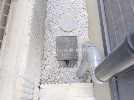 ���n�O�ώʐ^ �B�e��(2025-11-18 00:00:00)