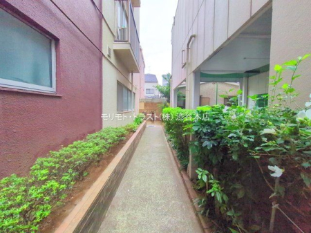 ���n�O�ώʐ^ �B�e��(2025-09-04 00:00:00)