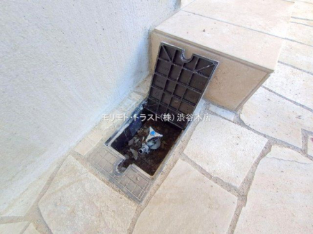 ���n�O�ώʐ^ �B�e��(2025-11-14 00:00:00)